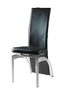 Modern Classic Carbon Steel Dining Chair (SY-013)