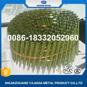 Cheap Price Screw Shank Coil Nails/Coil Wire Nails Factory