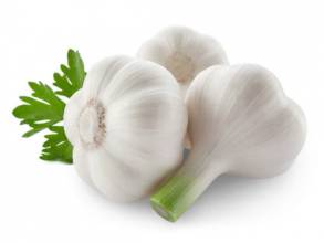 Factory Supply Directly 100% Natural Garlic Extract