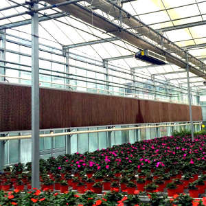 Greenhouse Qualified Evaporative Cooling Pad for Sale