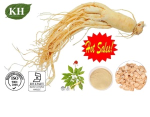 Natural American Ginseng Extract for Anxiety Relief