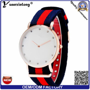 Yxl-259 Promotional Men Women Wristwatch Sport Watch Nylon Nato Strap Gold Ipg Casual Watch Relogio
